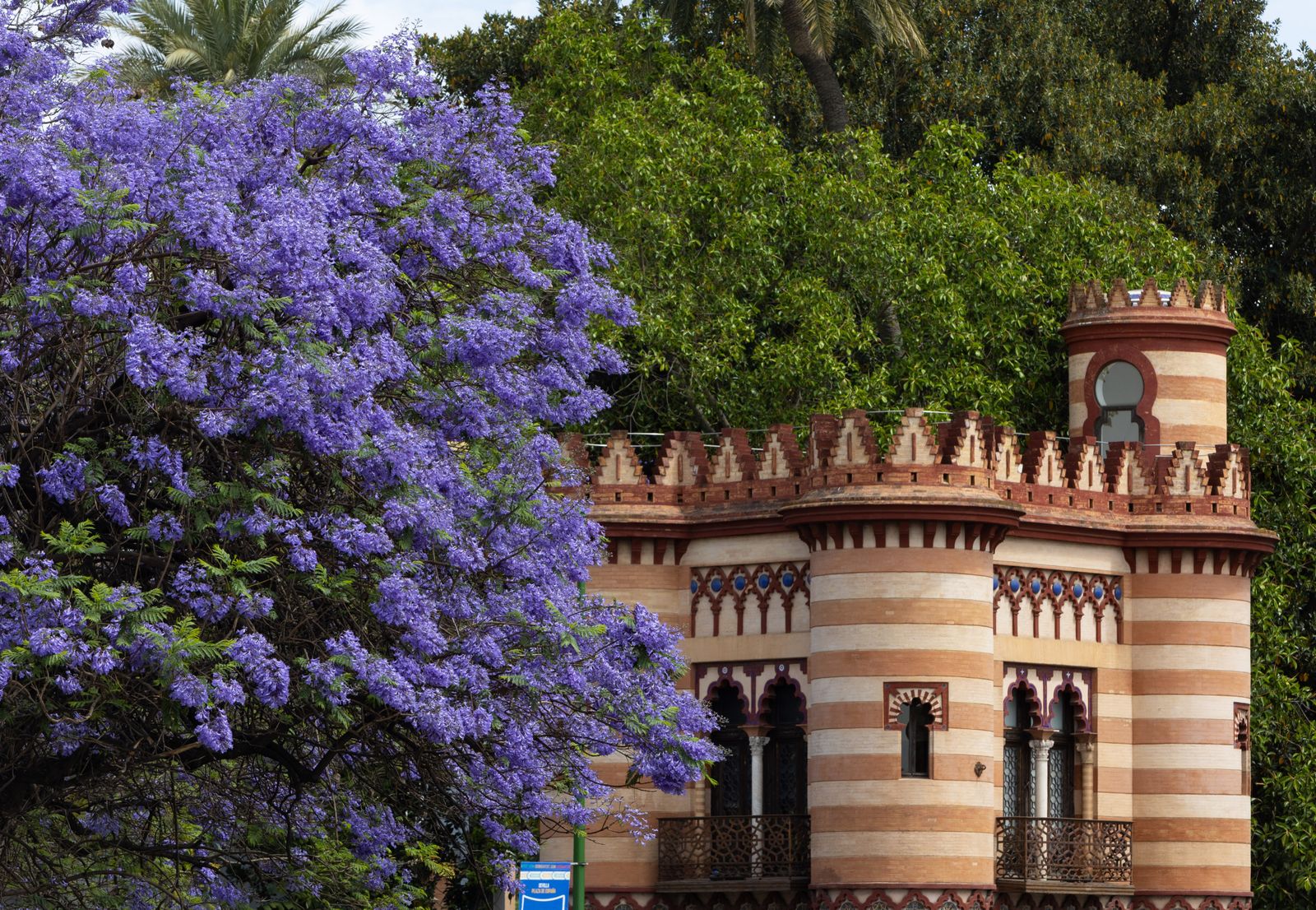 Las jacarandas vuelven a teñir de morado Sevilla