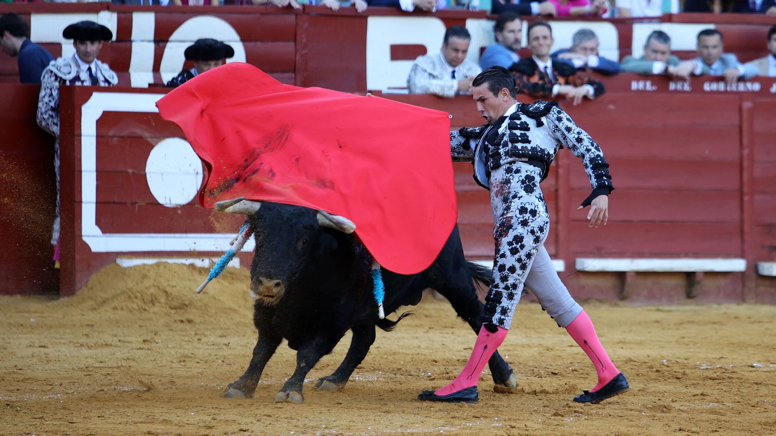 Última tarde de toros de la Feria de Jerez 2024 con Morante, Manzanares y Castella
