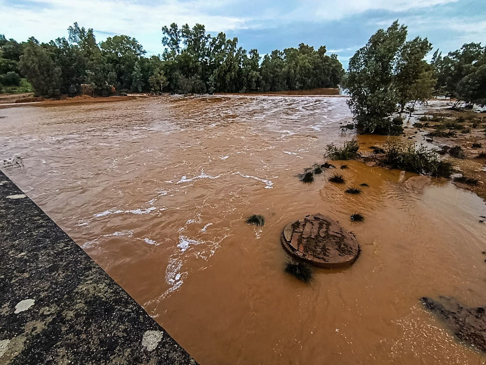 Fotografías del río Tinto a su paso por Niebla
