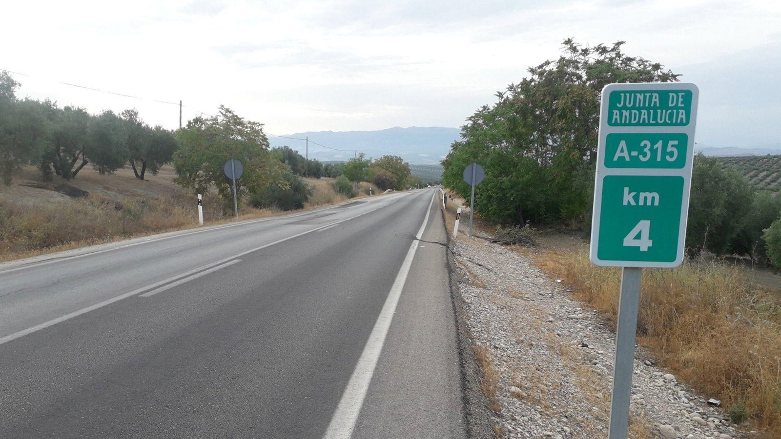 Carretera A-315.