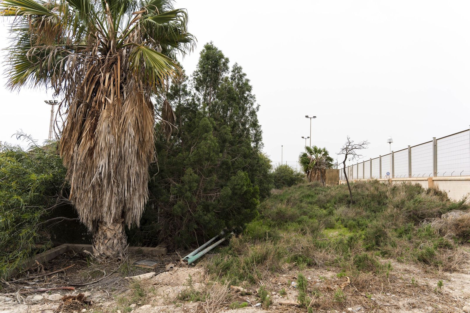 Las pistas deportivas y piscina de Costacabana, en imágenes