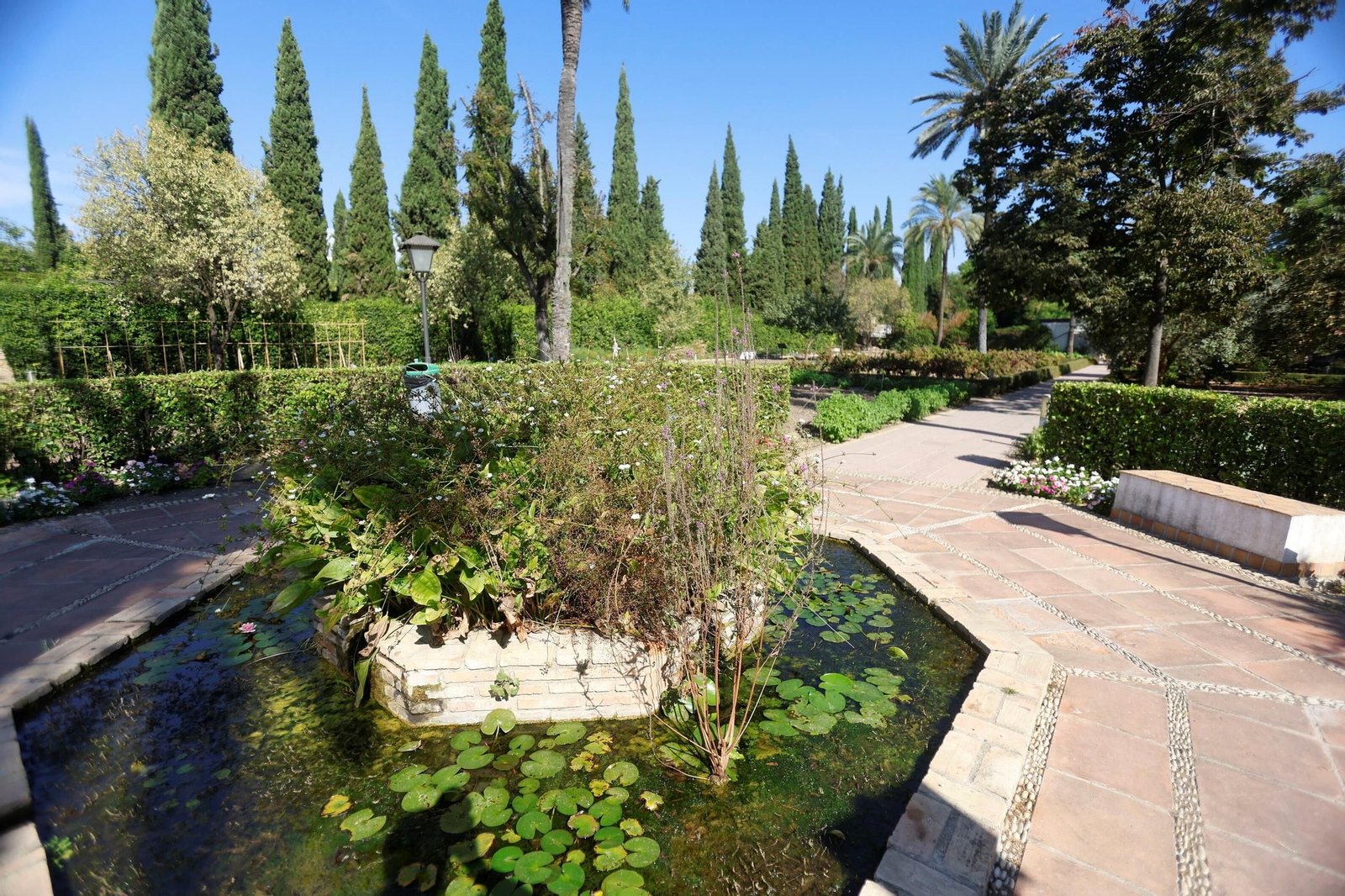 Un paseo en imágenes por el Real Jardín Botánico de Córdoba