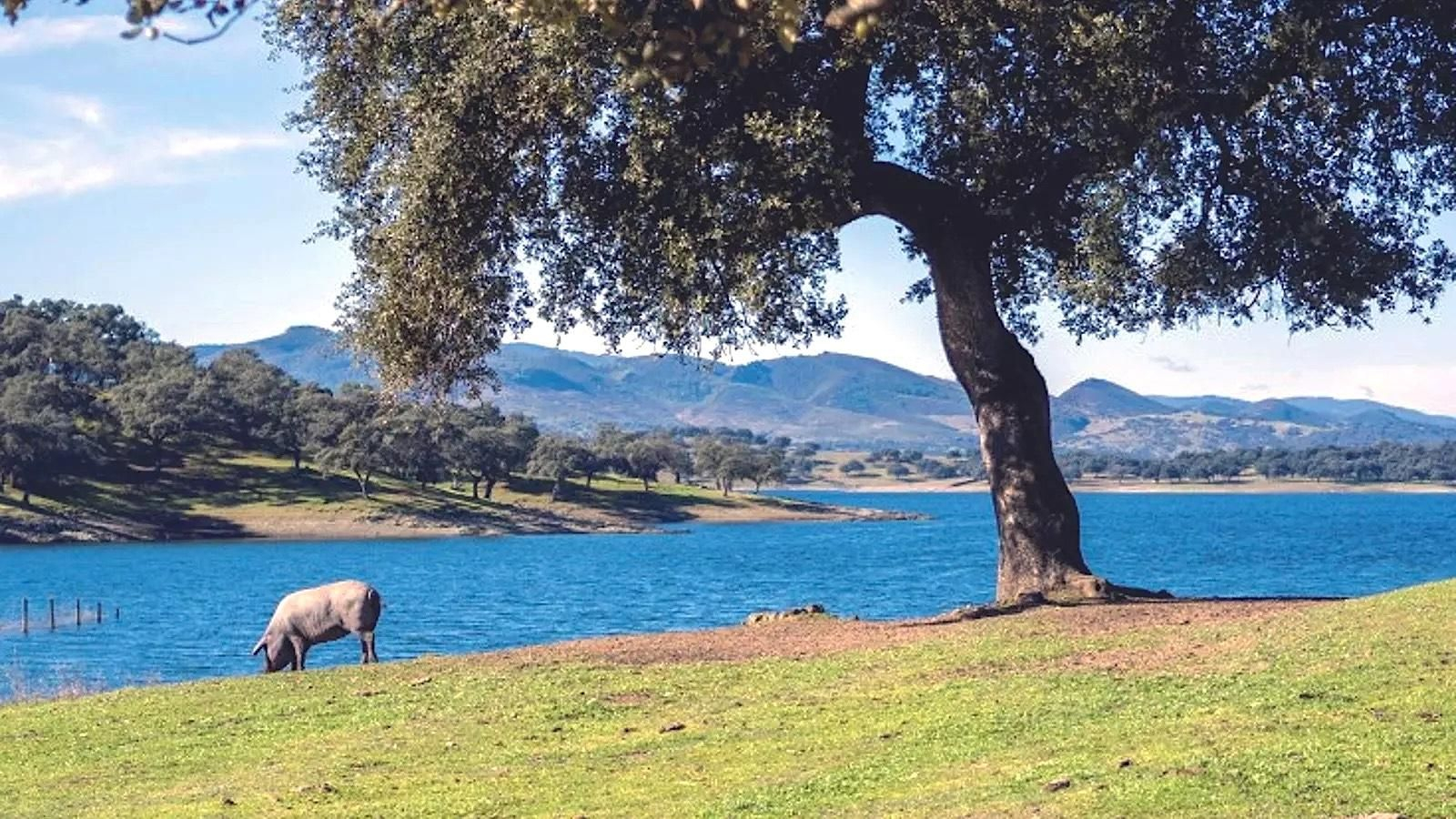 Un parque natural que es un refugio climático