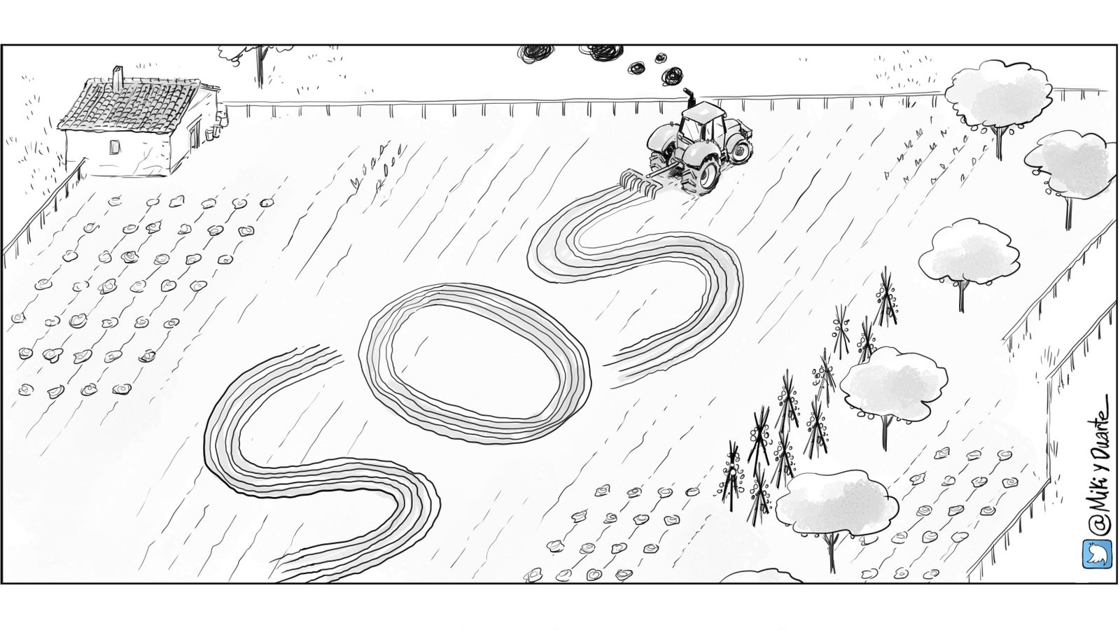 La situación del campo