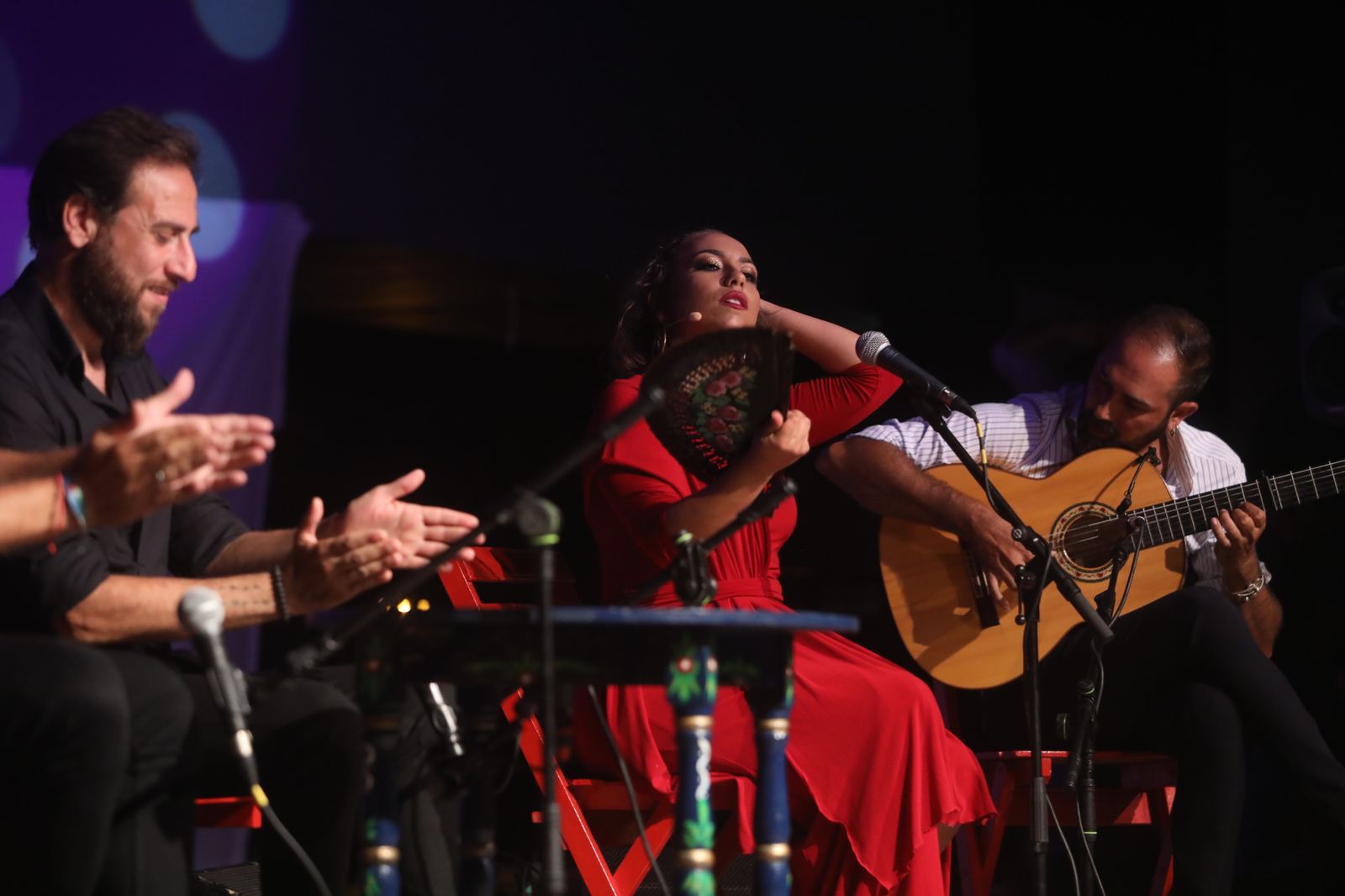 La noche flamenca en el Parque de San Fernando, en imágenes