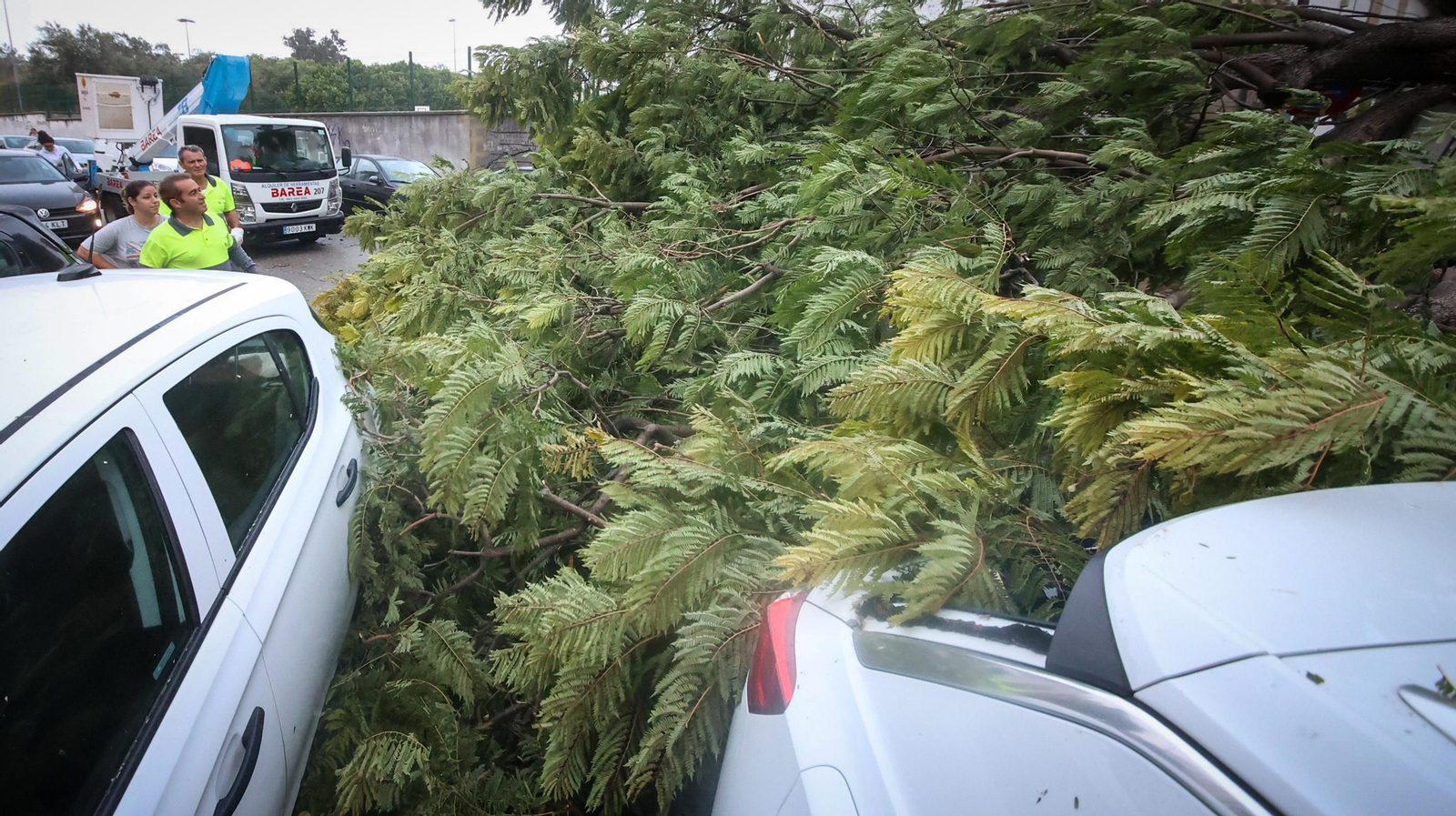 Caos en Jerez por los destrozos del temporal de viento