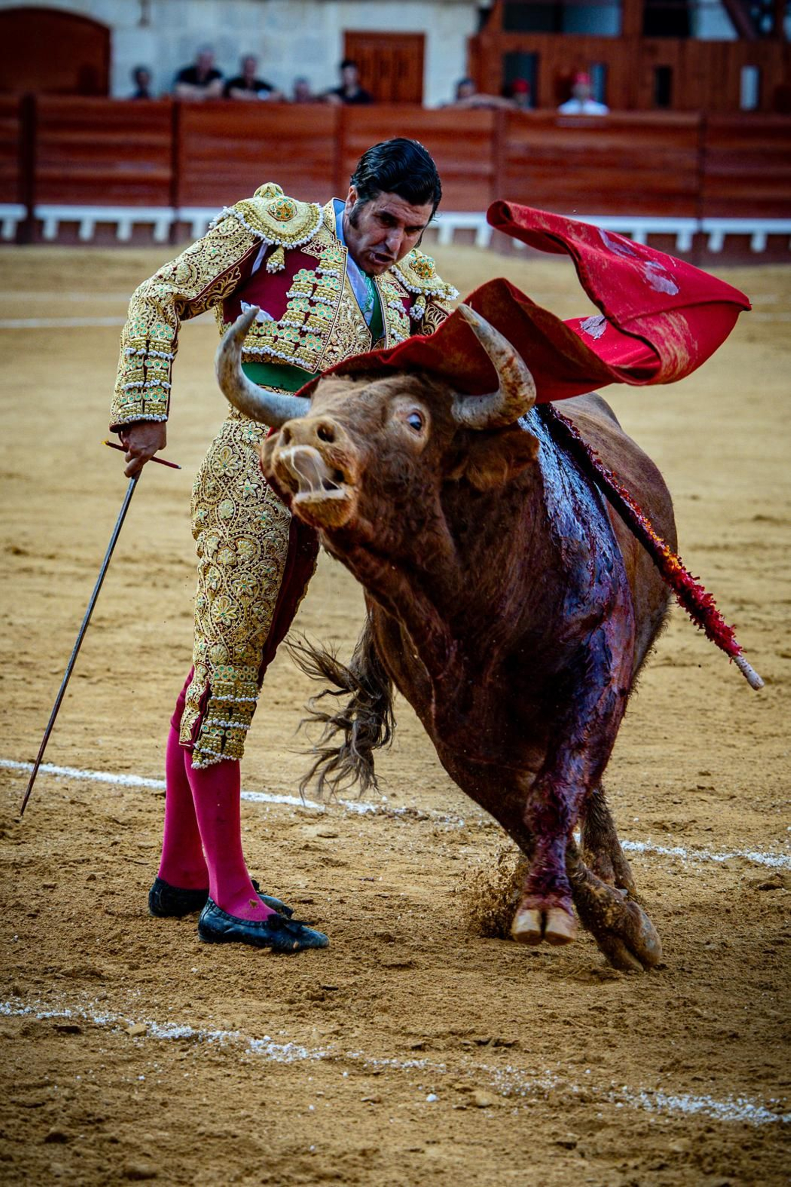 Las imágenes de la corrida de toros en El Puerto: Morante, Talavante y Juan Ortega