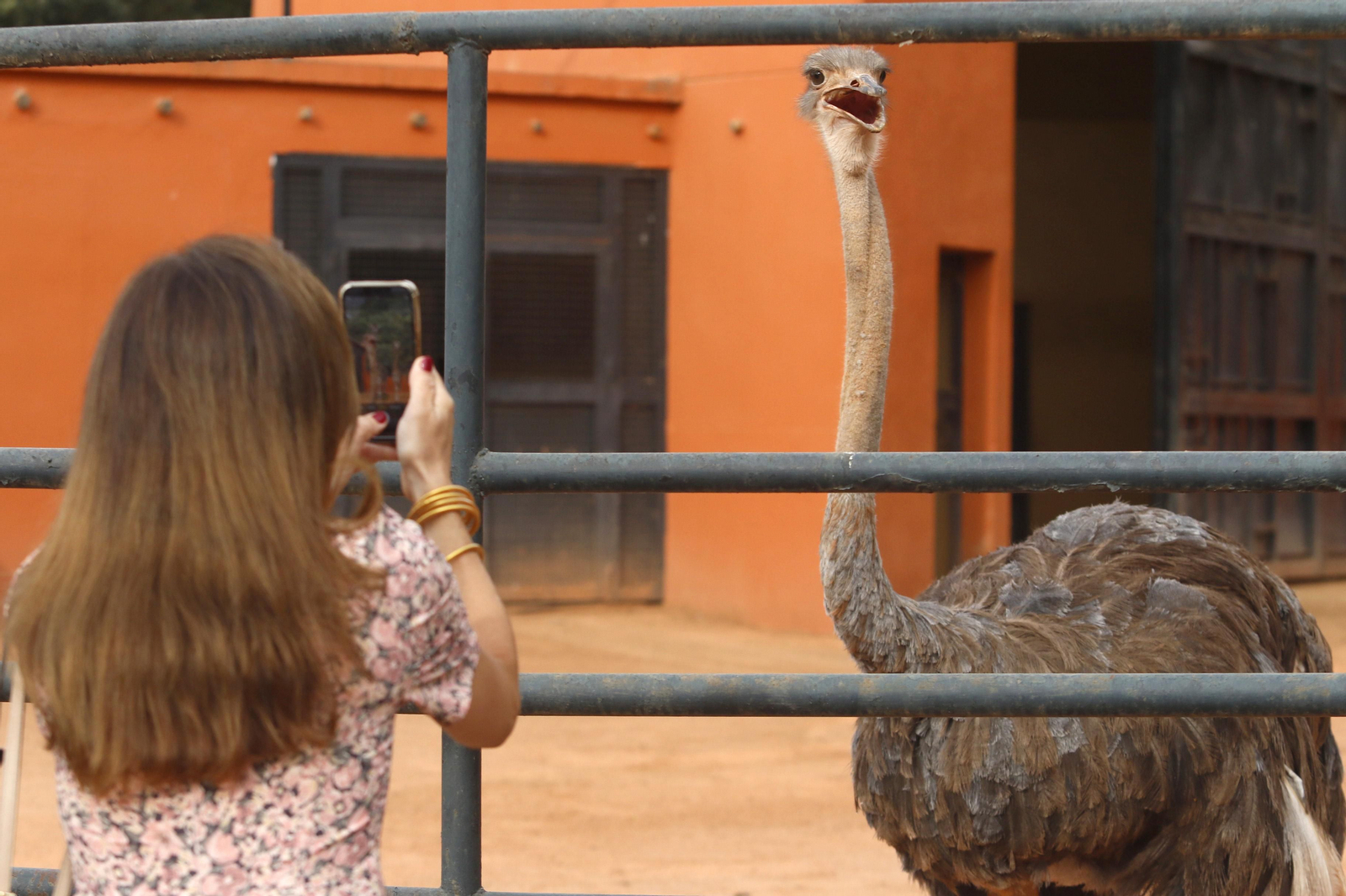 Las imágenes de la reapertura del zoo de Córdoba