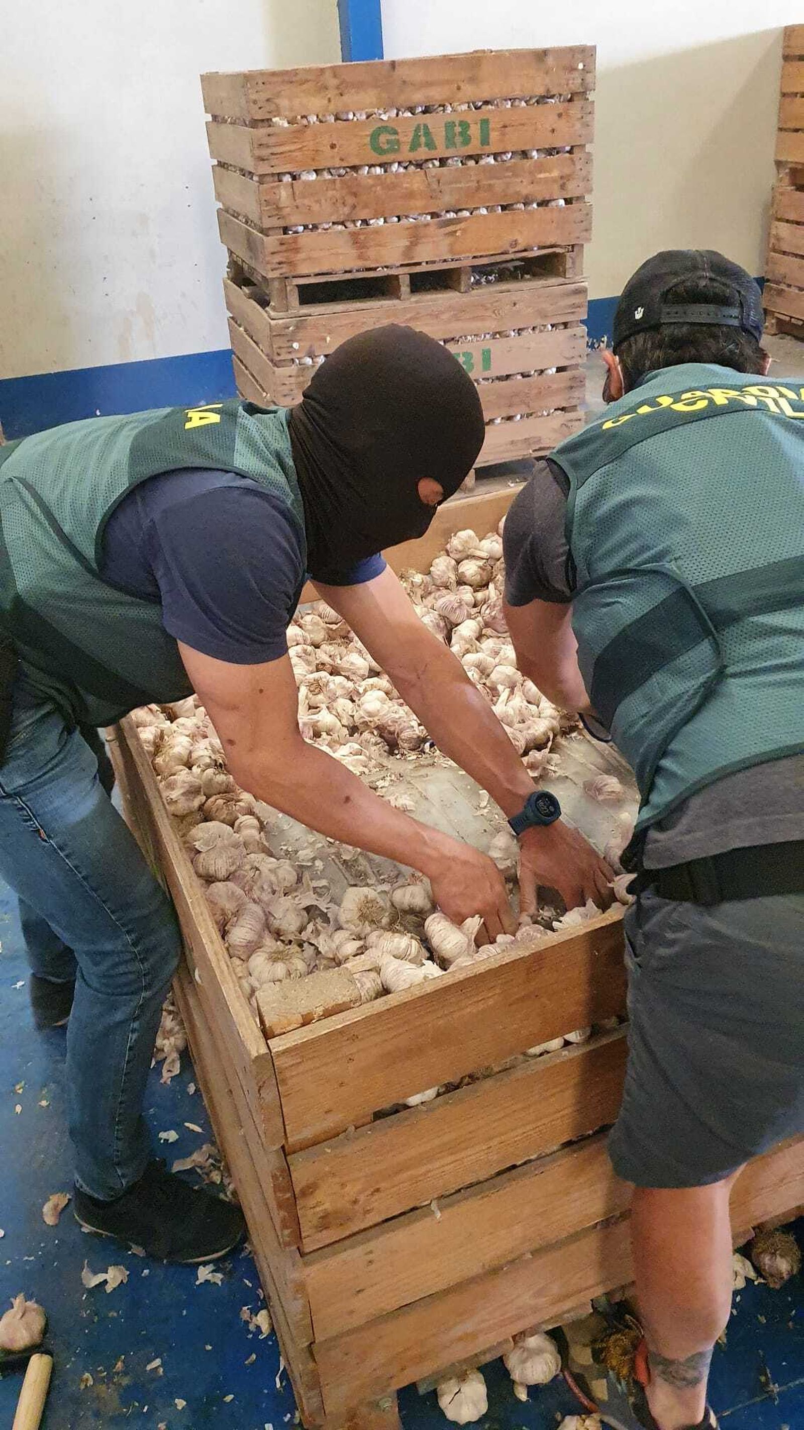 Agentes con el cargamento de ajos y marihuana.