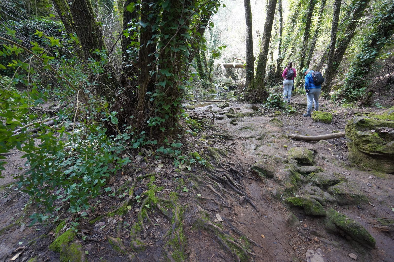 Una ruta por los Baños de Popea en Córdoba, en fotografías
