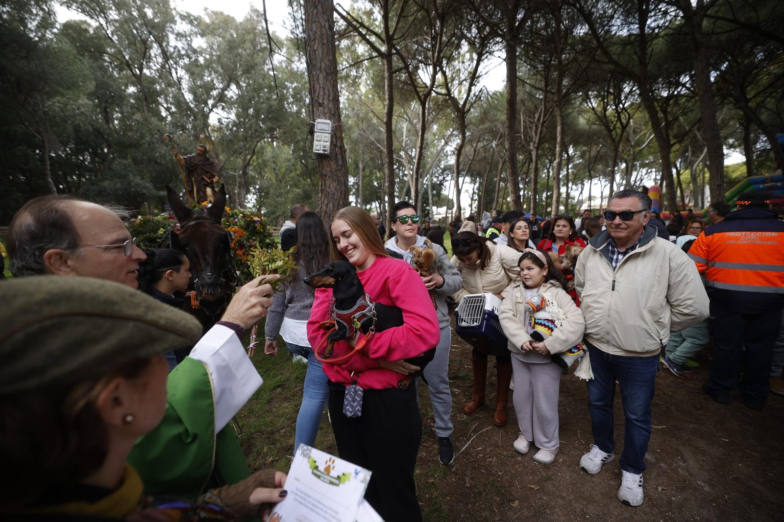 Las imágenes de la festividad de San Antón en El Puerto