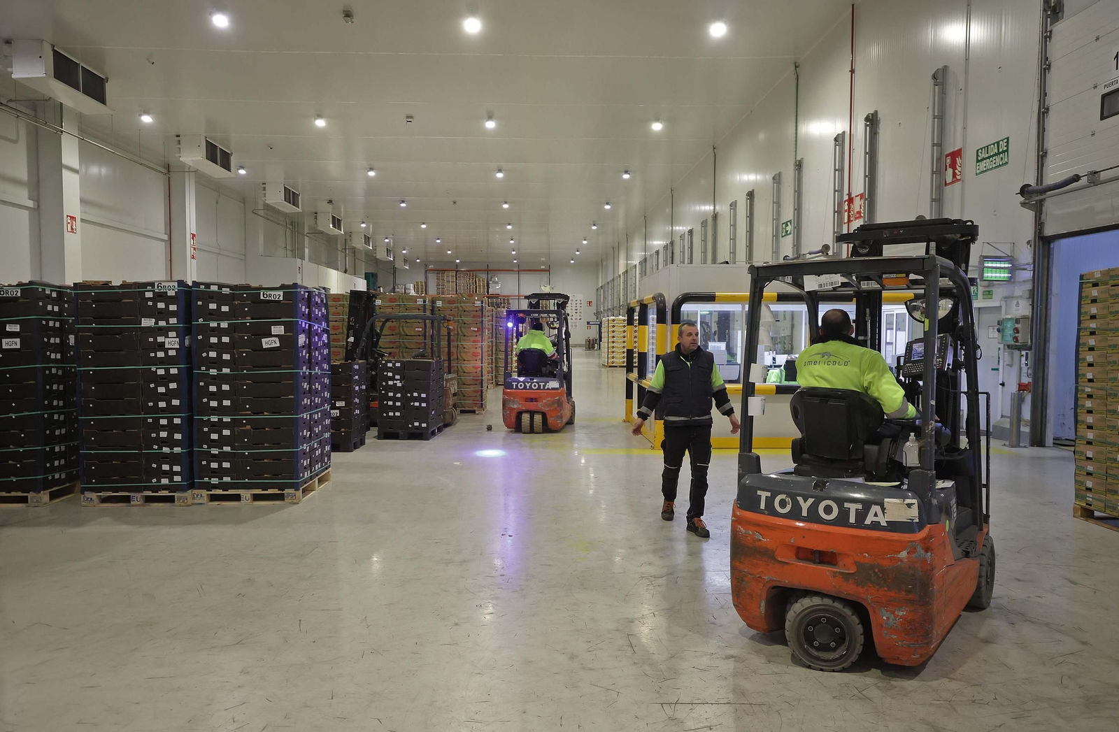 Fotos de la visita a la empresa Americold en el Puerto de Algeciras