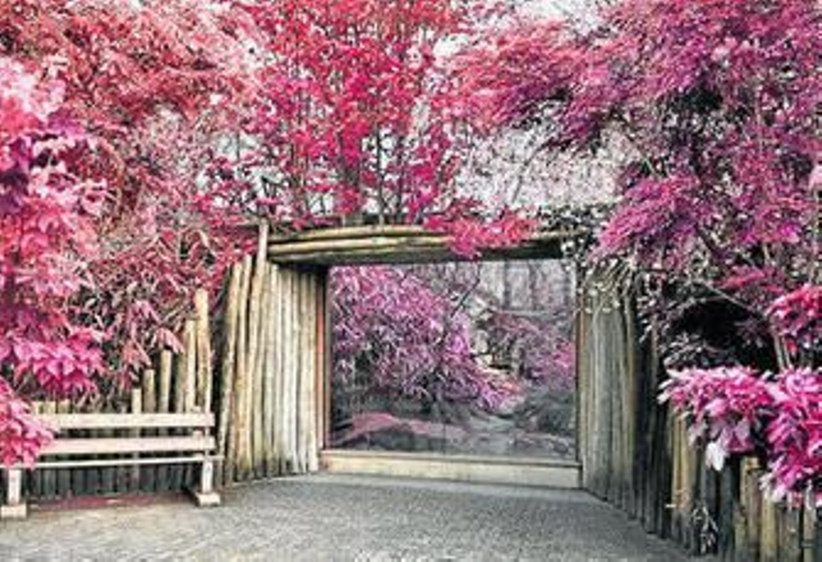 El artista usa fotografías instantáneas y construidas para hablar de realidad.