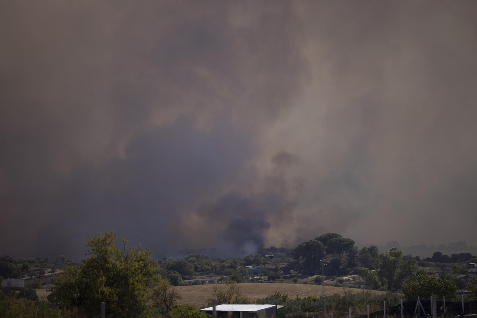 Imágenes del incendio de Bonares