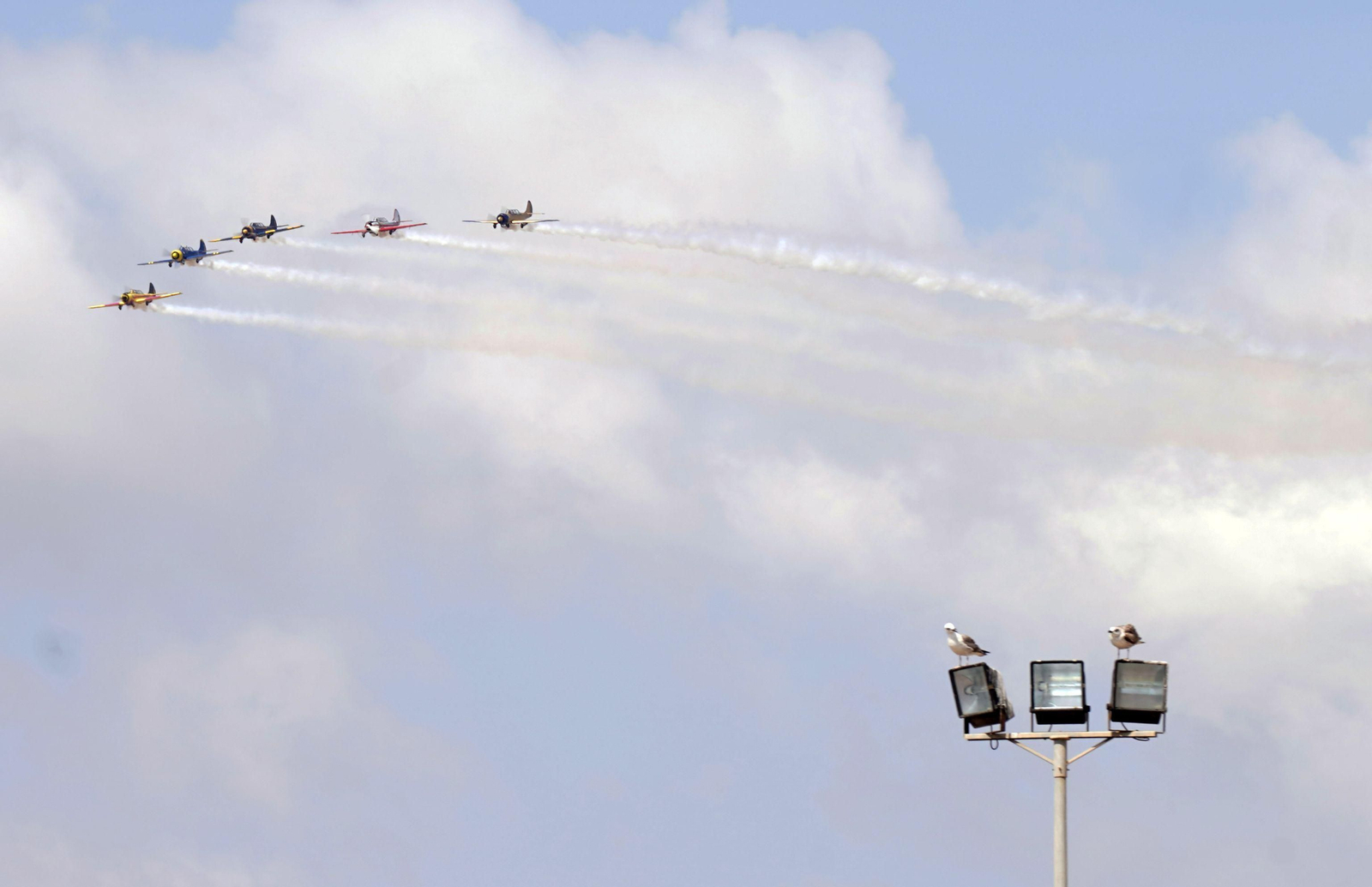 El Festival Aéreo de Torre del Mar, en fotos