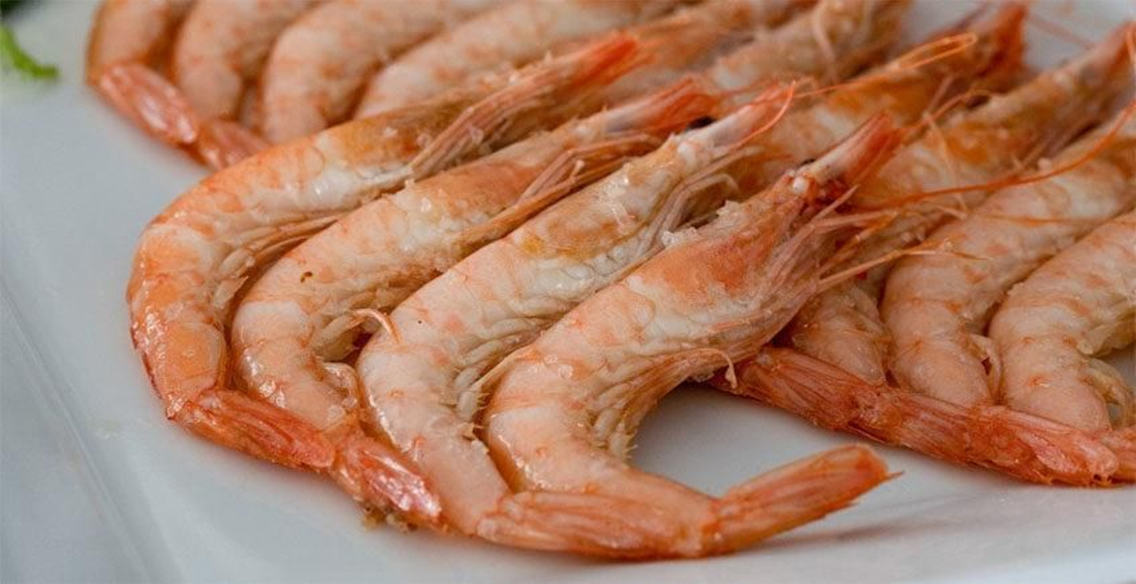 Un plato de gambas cocidas.