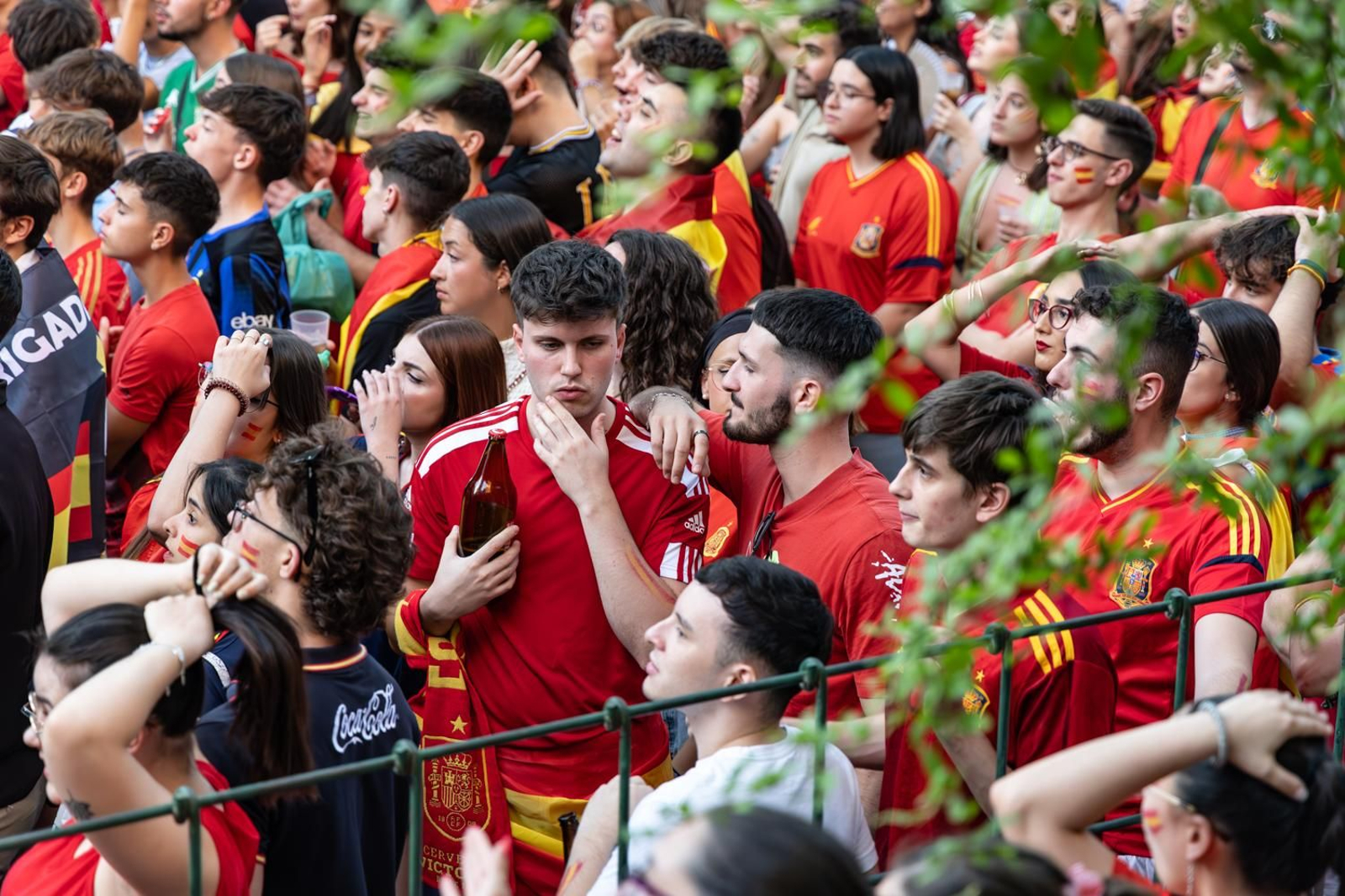 La euforia jiennense por la victoria de España, imágenes