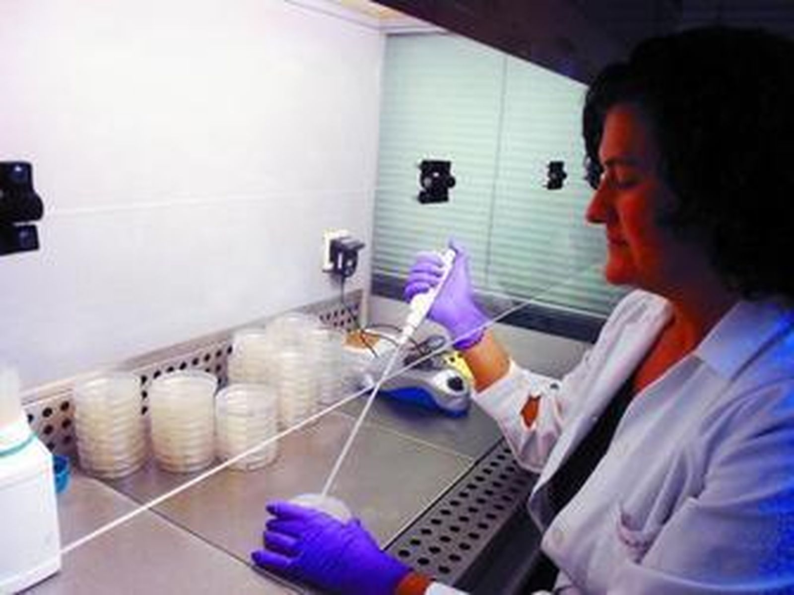 Para Victoria Gilabert, las perspectivas del sector son buenas, mientras prime la innovación y la calidad.