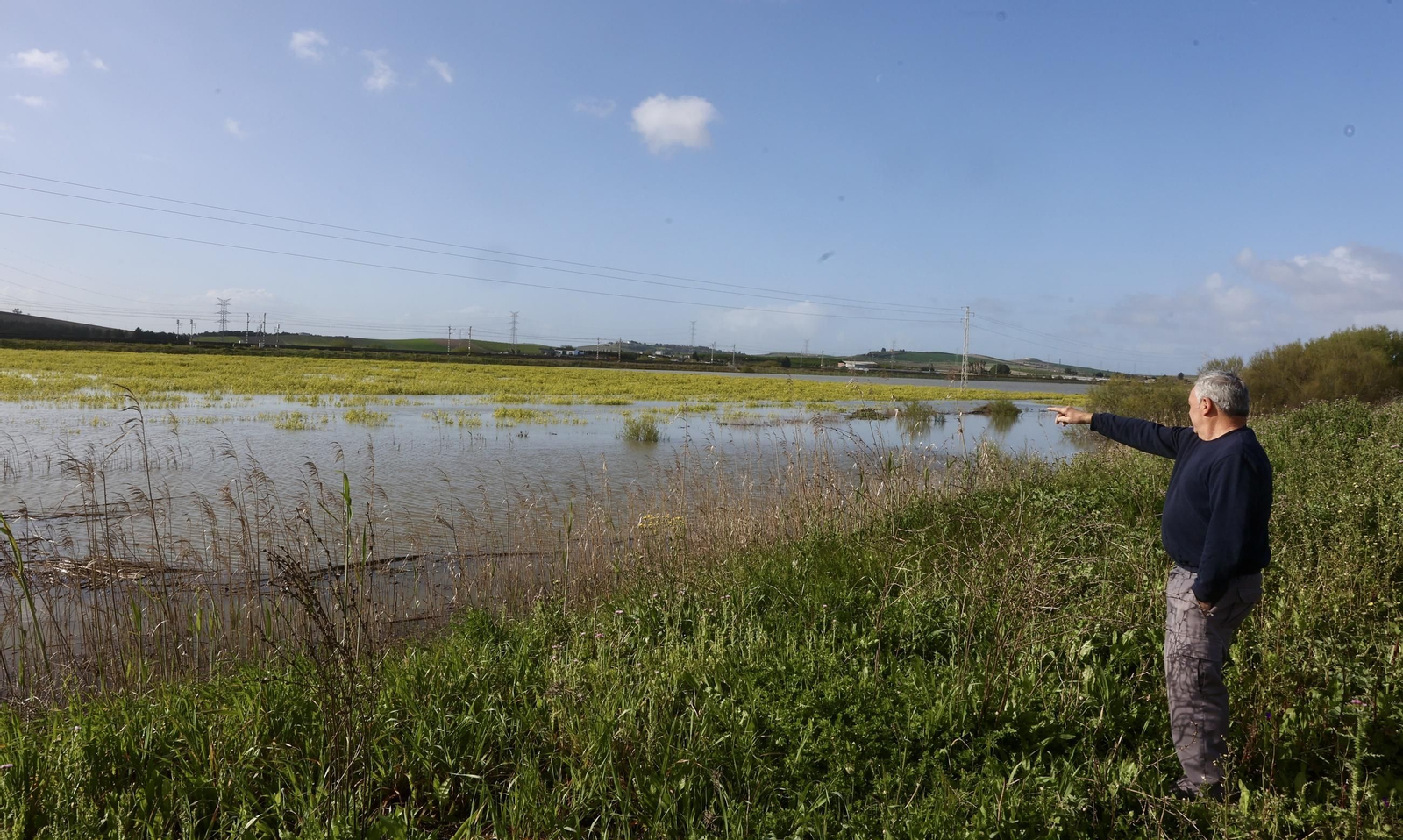 El campo en Lebrija inundado tras las lluvias