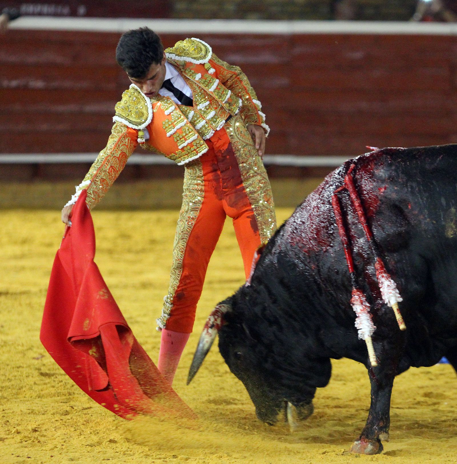 Imágenes de la Novillada de Rafael Serna, Emilio Silvera y Rodrigo Molina.