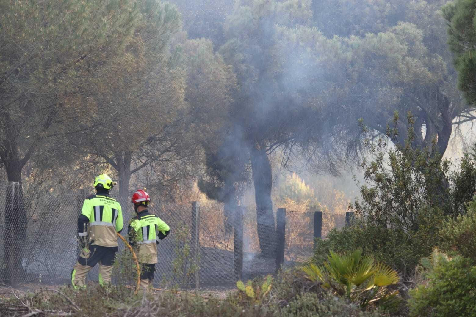 Fuego en la laguna de El Portil: las imágenes del incendio