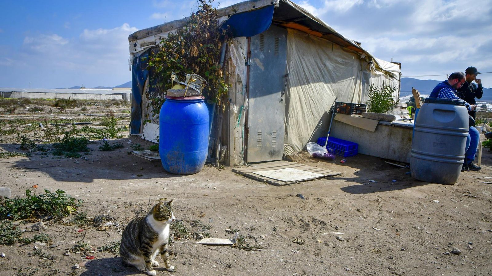 Imágenes del asentamiento ubicado en el Cortijo El Uno de San Isidro.