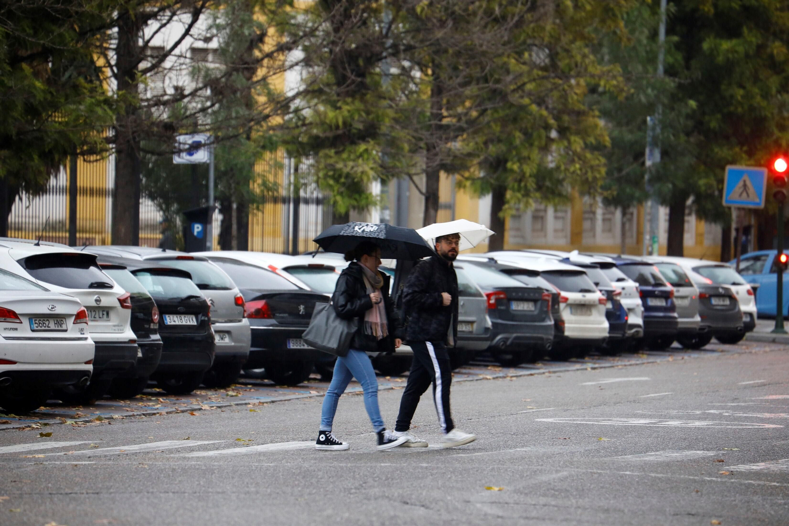 La lluvia vuelve a Córdoba con el paso de la borrasca Hipólito, en imágenes
