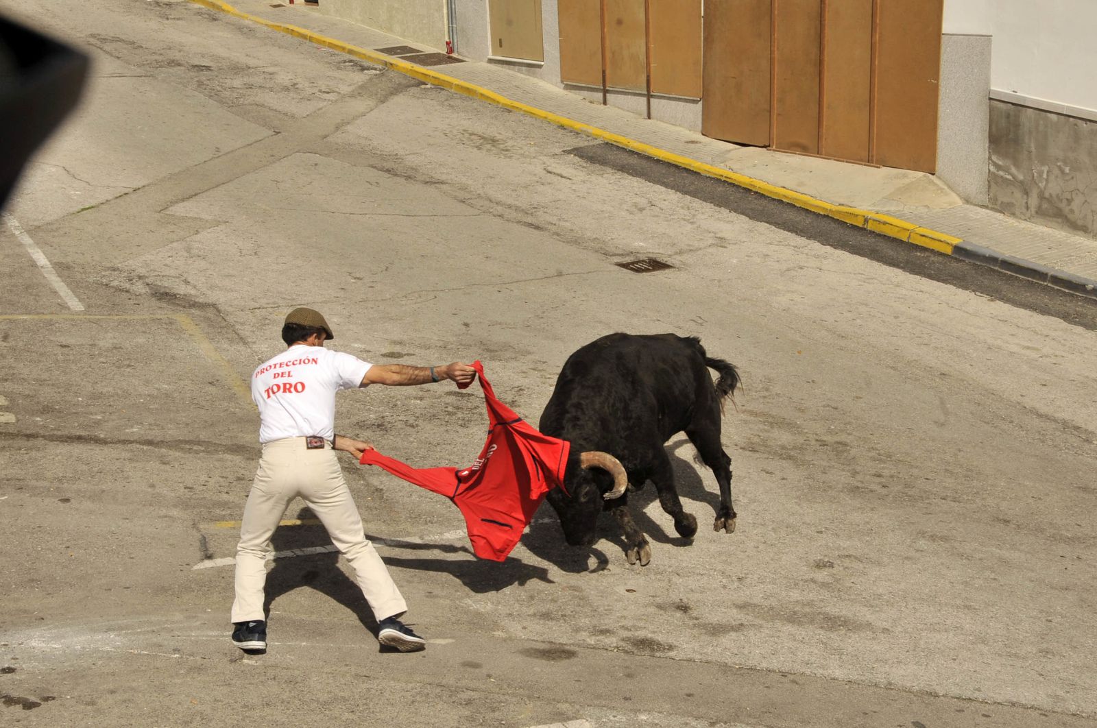 Imágenes del Toro del Aleluya en Arcos