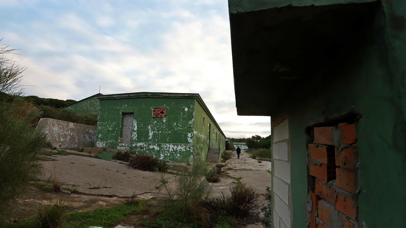 Las mejores fotos de Paloma Baja