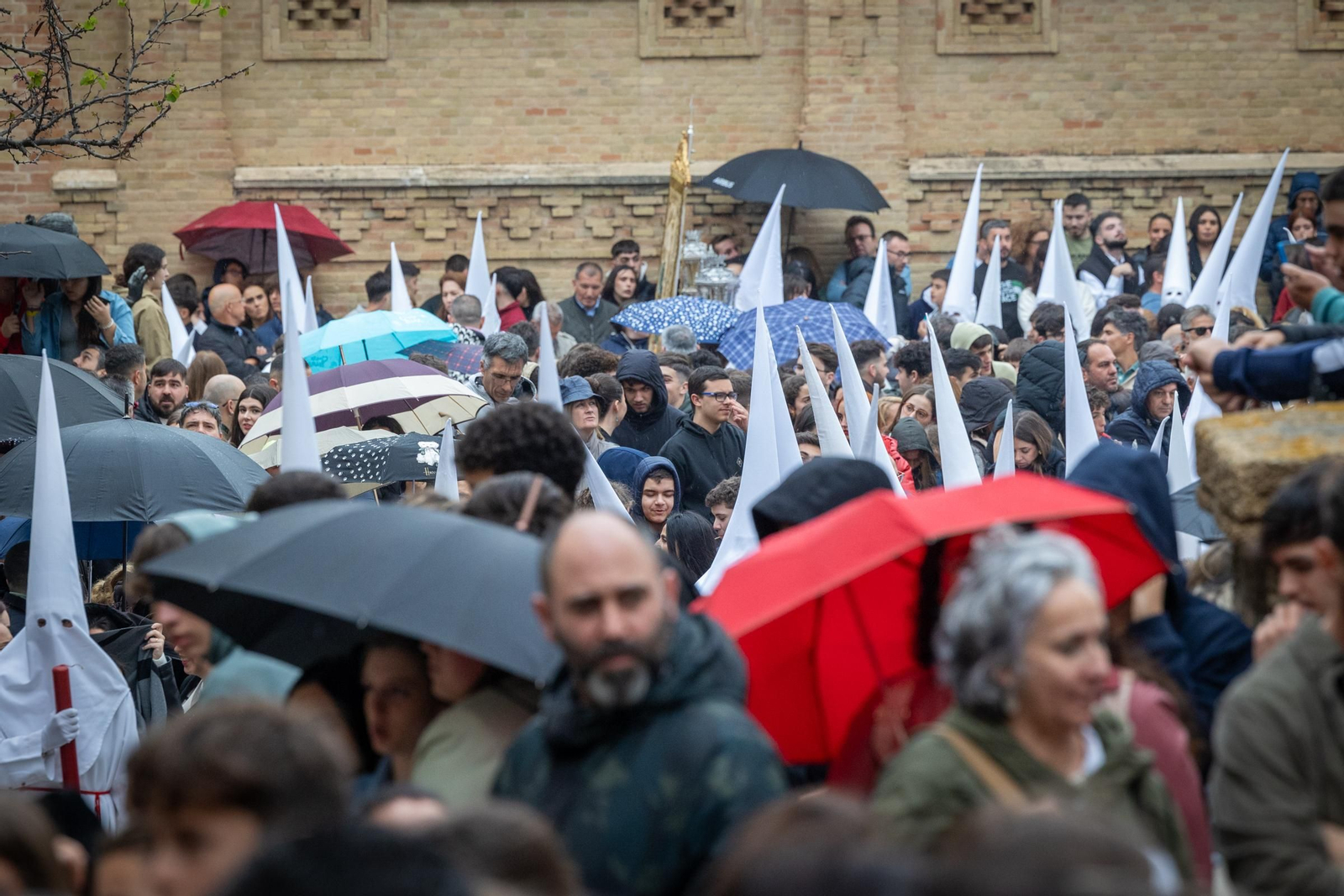 Las imágenes de la cofradía de la Sagrada Cena en la Semana Santa de Cádiz de 2024 Las imágenes de la cofradía de la Sagrada cena en la Semana Santa de Cádiz de 2024