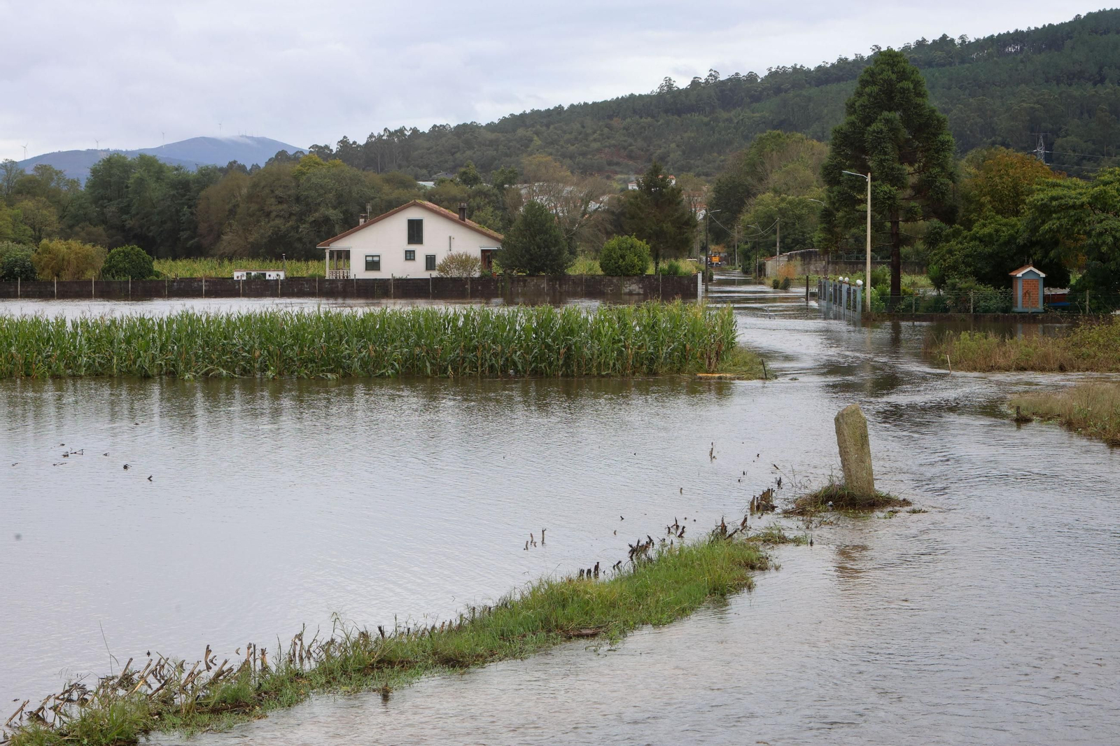 El rÍo Sar desbordado a su paso por la aldea de Lamas en la localidad coruñesa de Padrón