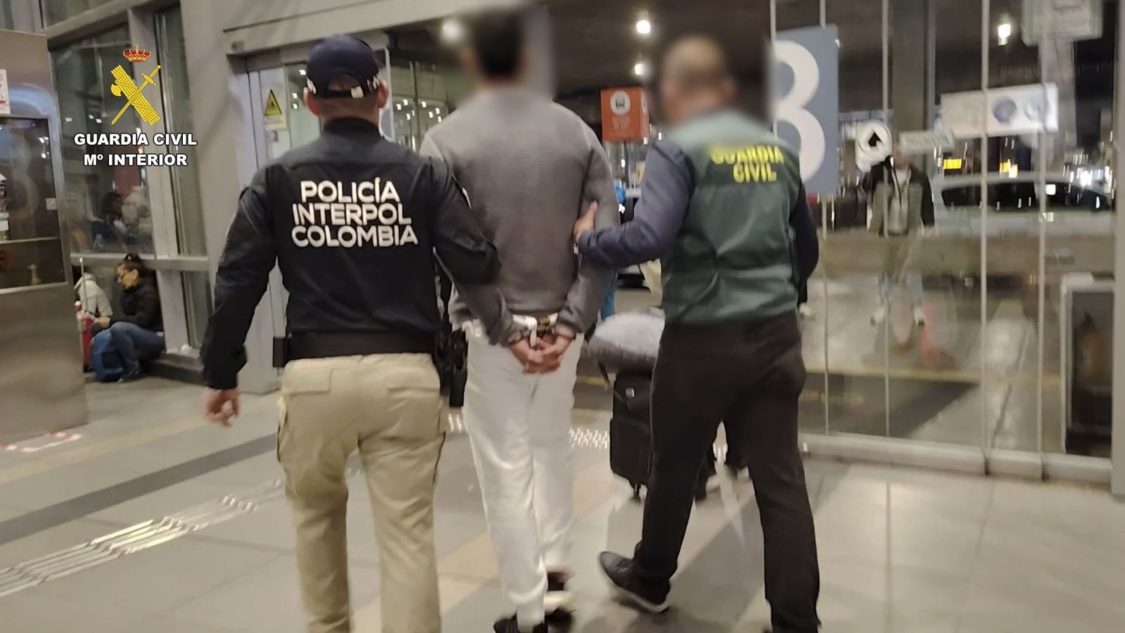 Detención de uno de los implicados en la red de venta fraudulenta de mascotas.