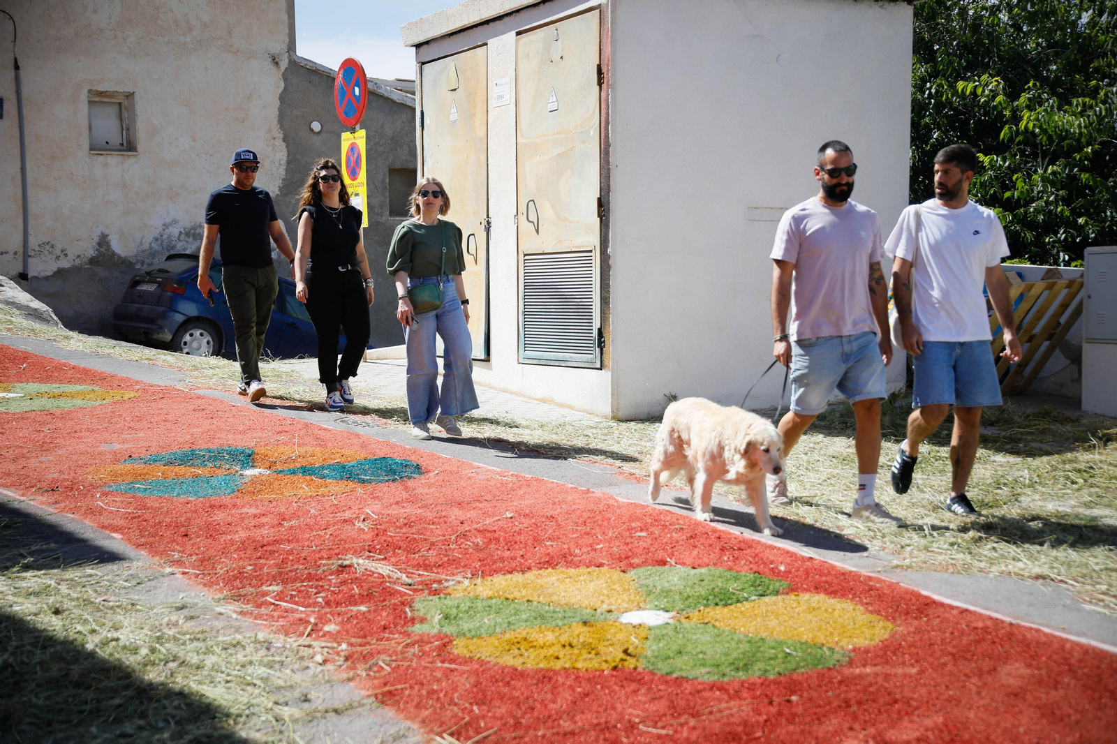 Así es la gran alfombra de serrín para que levite la Virgen de Fátima de Tíjola