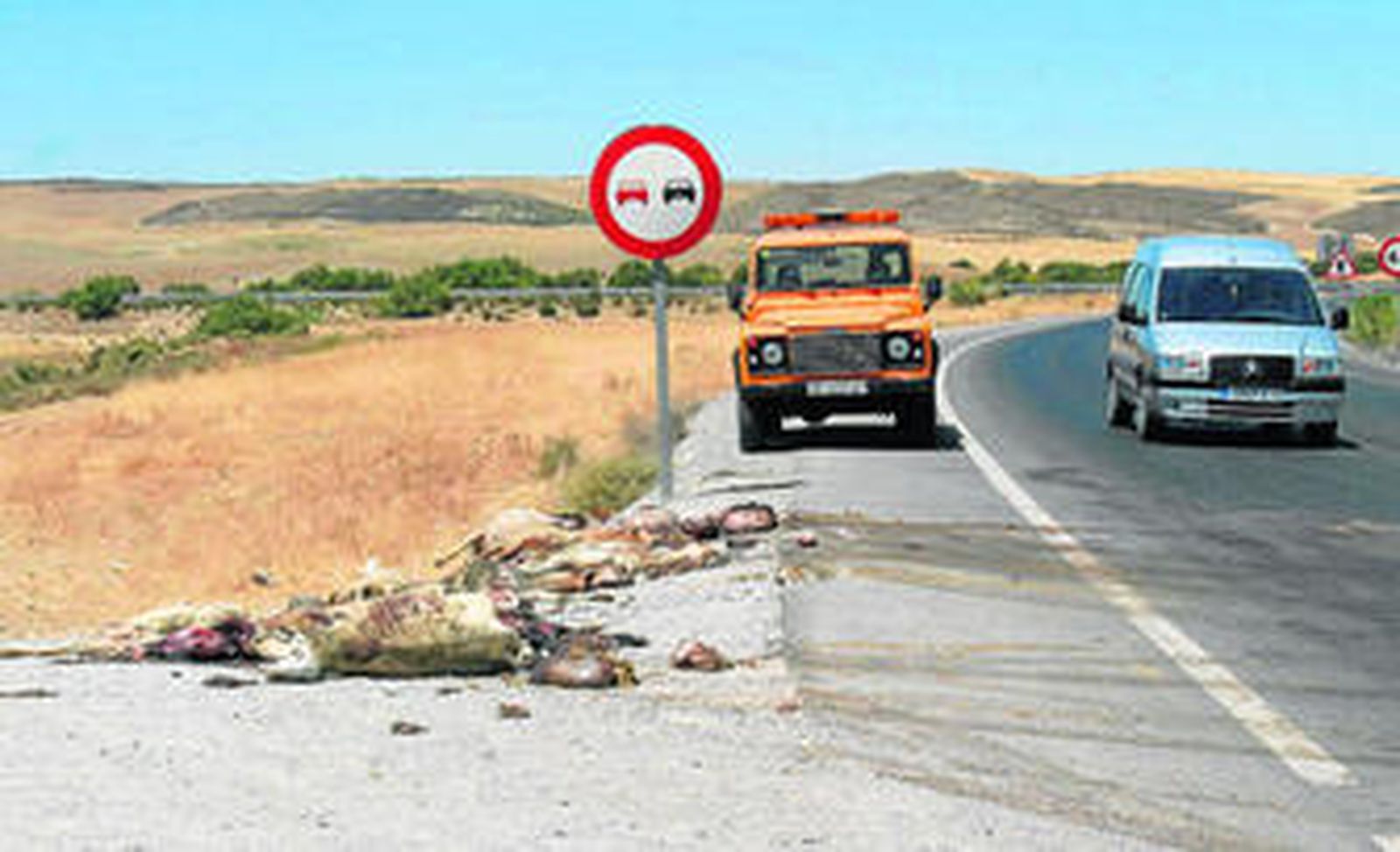 En la imagen se puede ver una carretera por la que hay vehículos circulando y una oveja muerta en un lateral, la misma que provocó un accidente.
