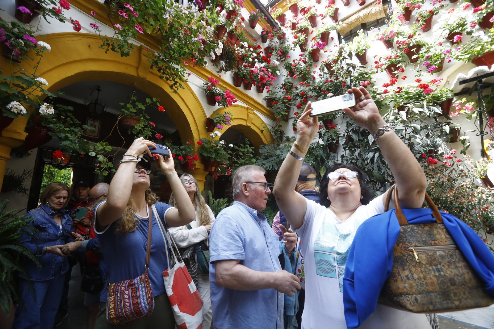 Colas e ilusión en el primer sábado de los Patios de Córdoba, en imágenes