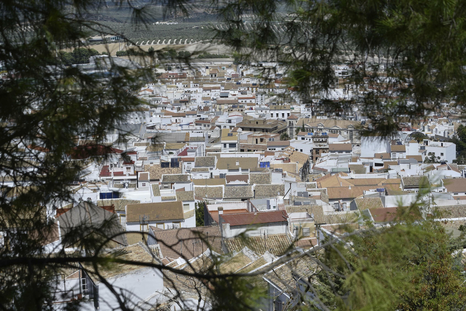 Estepa, en imágenes