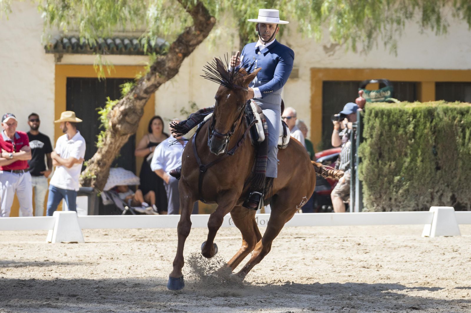 Final del concurso de Doma Vaquera 2023 en el Depósito de Sementales
