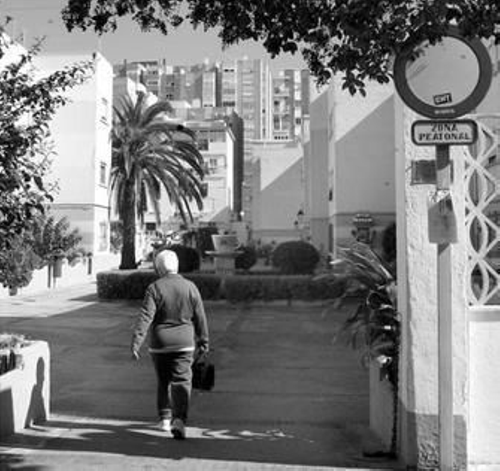 Los patios que serán derribados para construir 172 nuevos aparcamientos, garajes y locales.