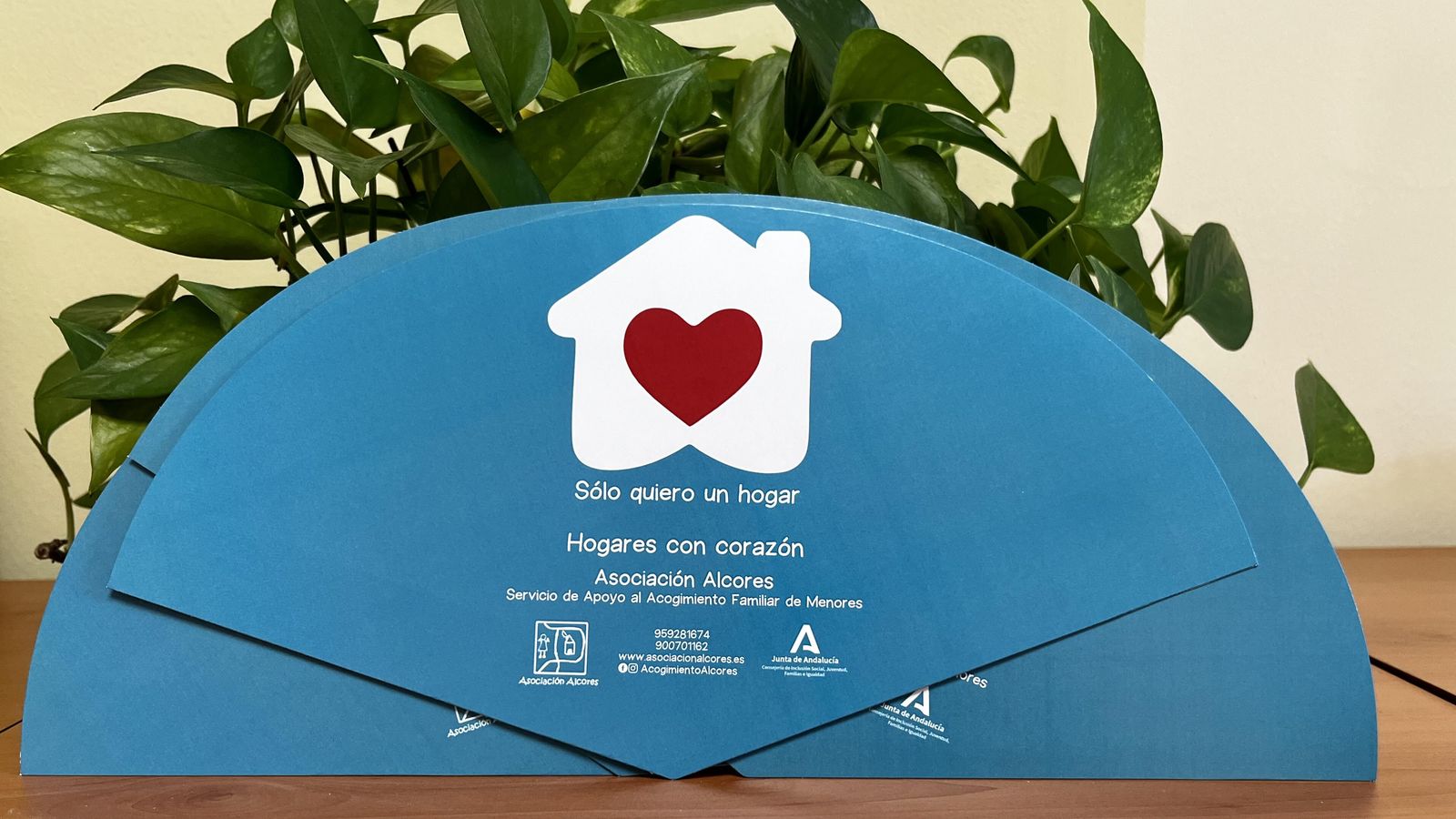 Reverso del abanico informativo