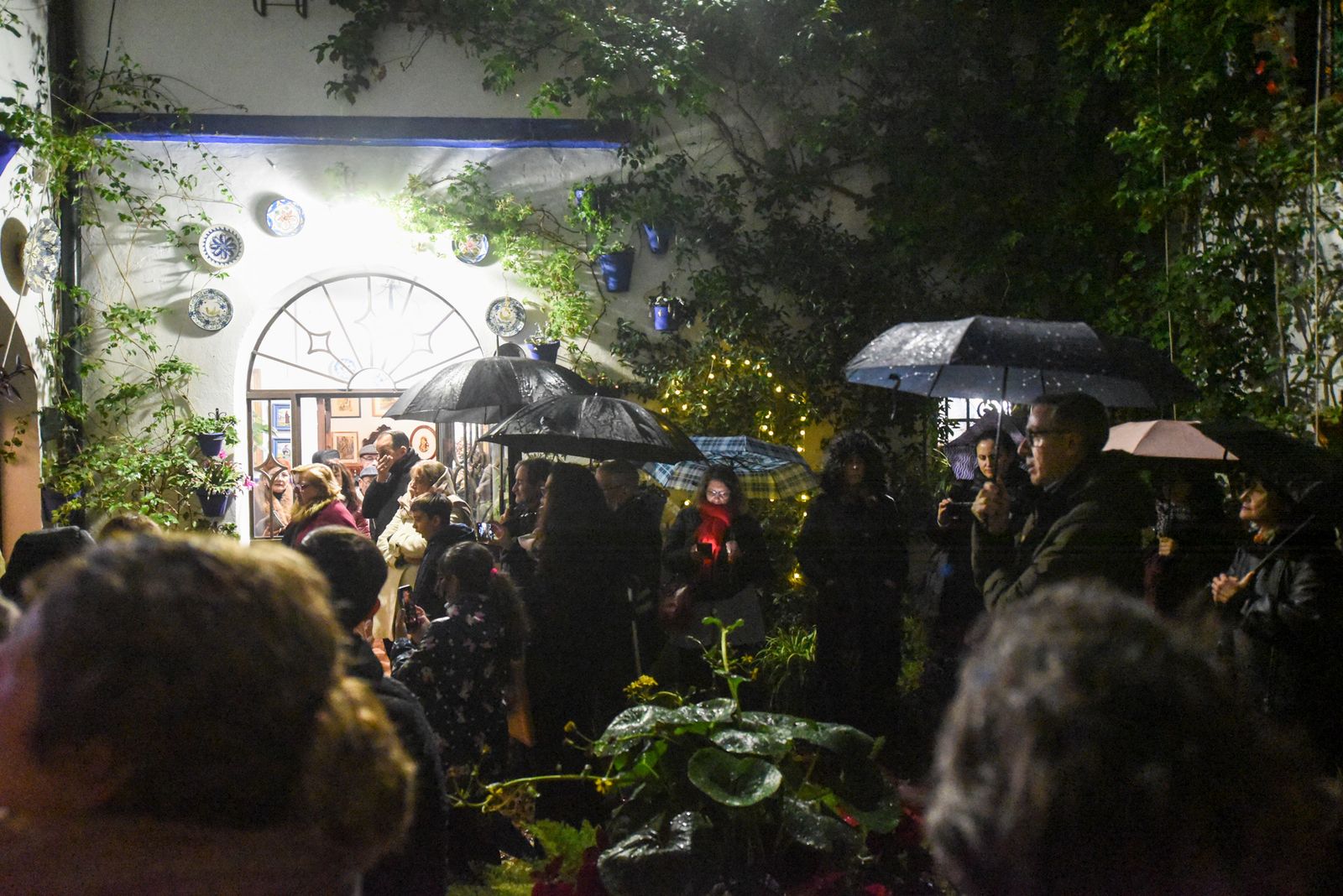 Las mejores fotos de la última jornada de la Navidad en los Patios