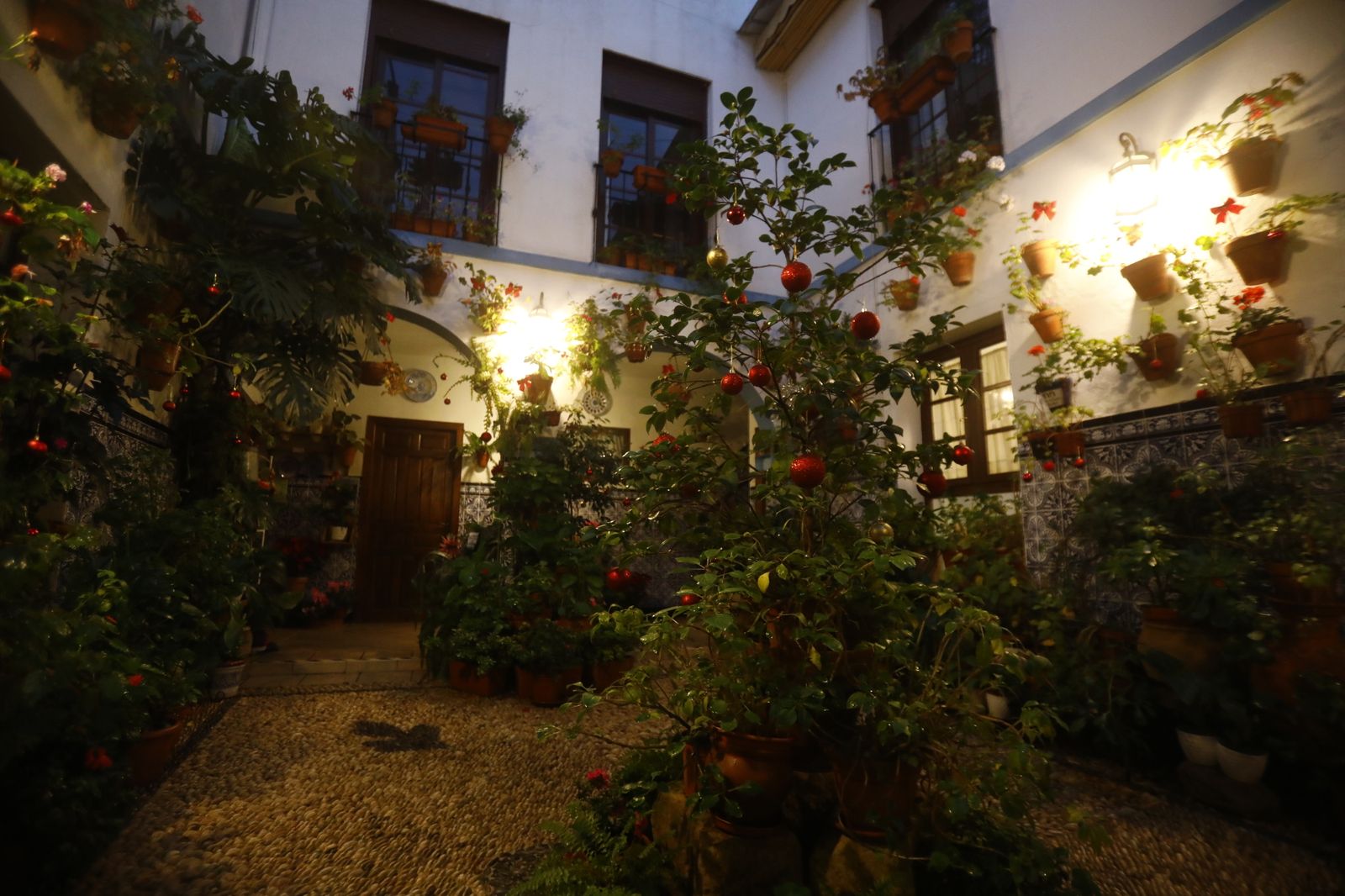 Los Patios de Córdoba abren por Navidad, en imágenes