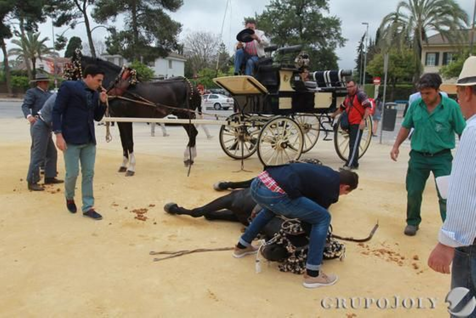 Un hombre intenta reanimar (con éxito) un caballo que se desplomó ayer en el Real.

Foto: Jose Contreras