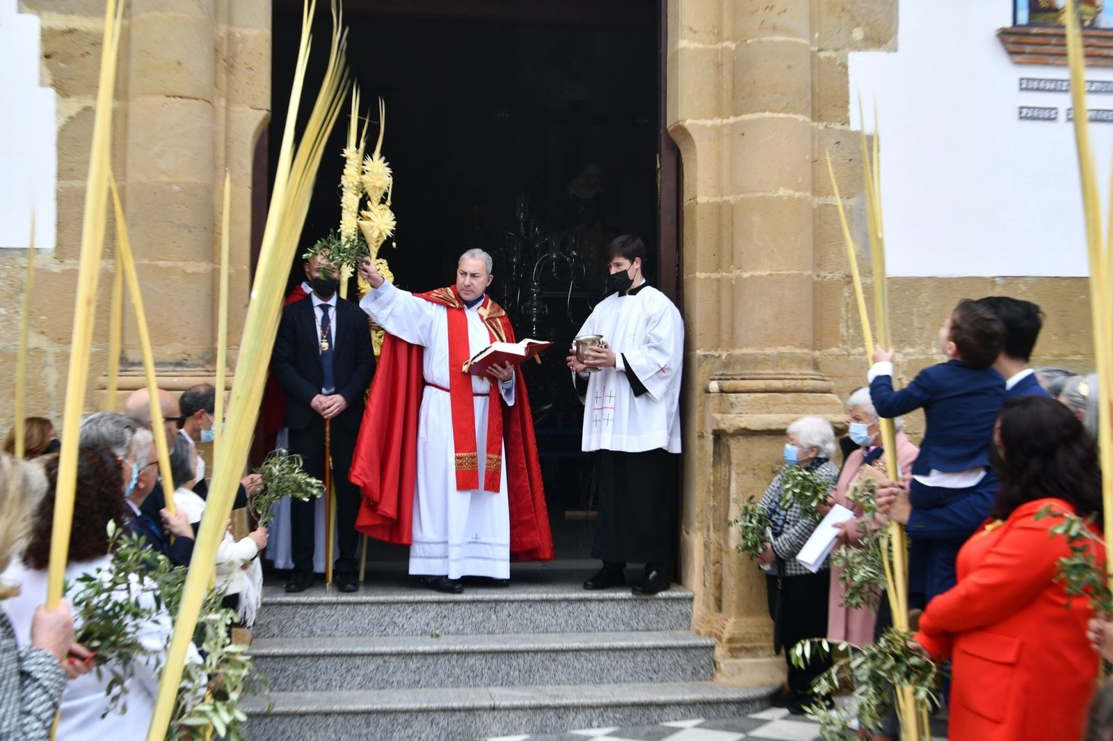 Las fotos del domingo de palmas y olivos en San Roque