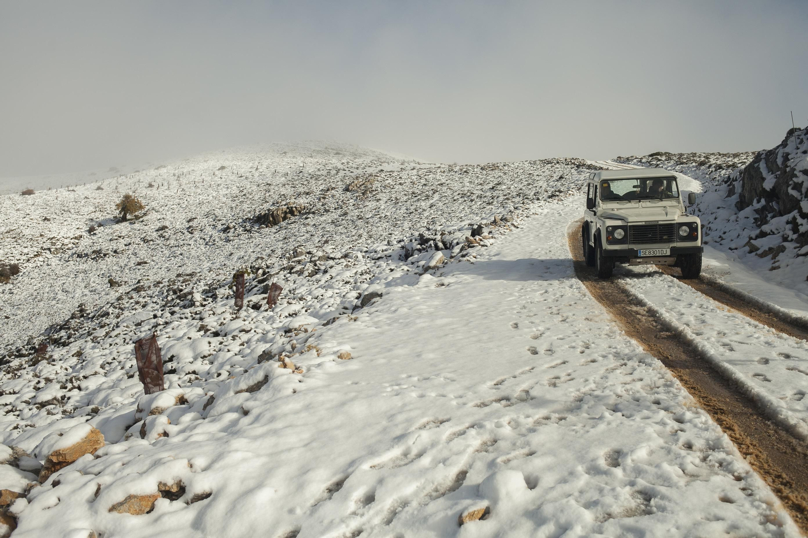 Primeras estampas de invierno en la Sierra de las Nieves