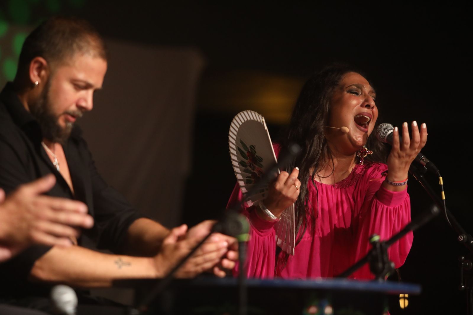 La noche flamenca en el Parque de San Fernando, en imágenes