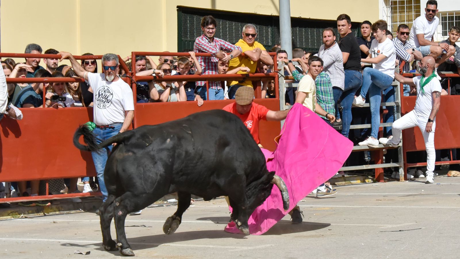 Fotos del encierro del sábado del Toro Embolao en Los Barrios