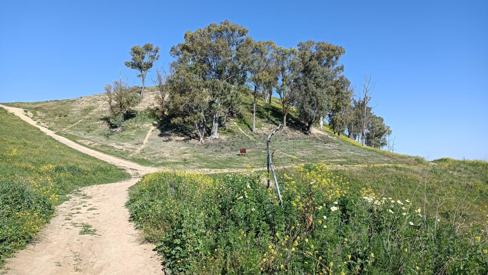 Podemos subir el cerro o rodearlo.