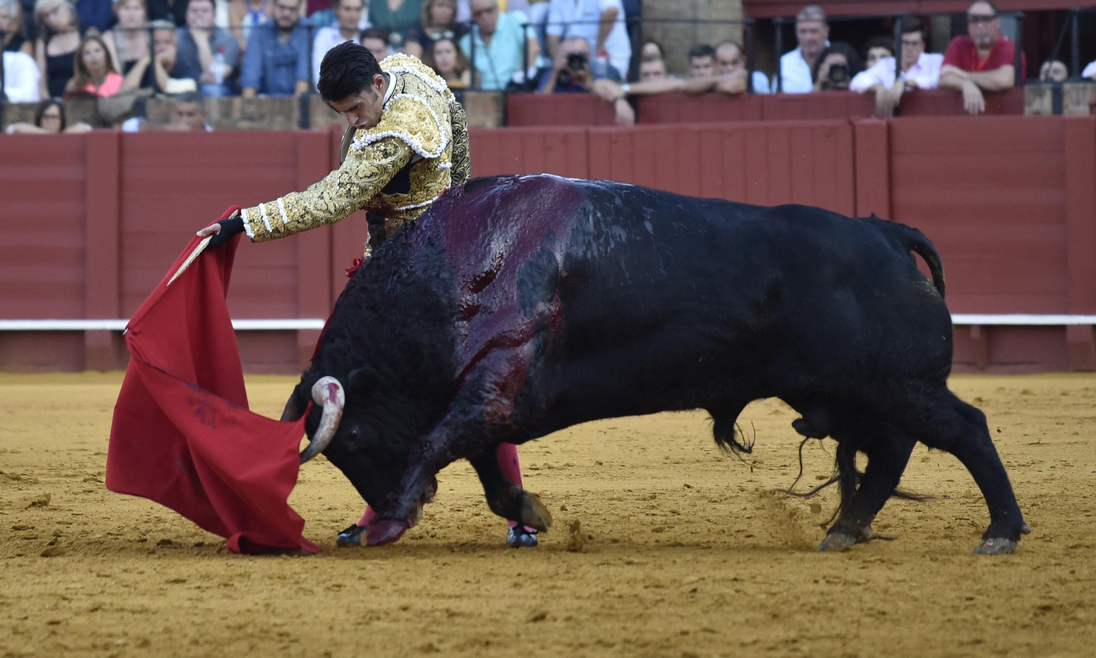 La segunda corrida de la Feria de San Miguel, en imágenes