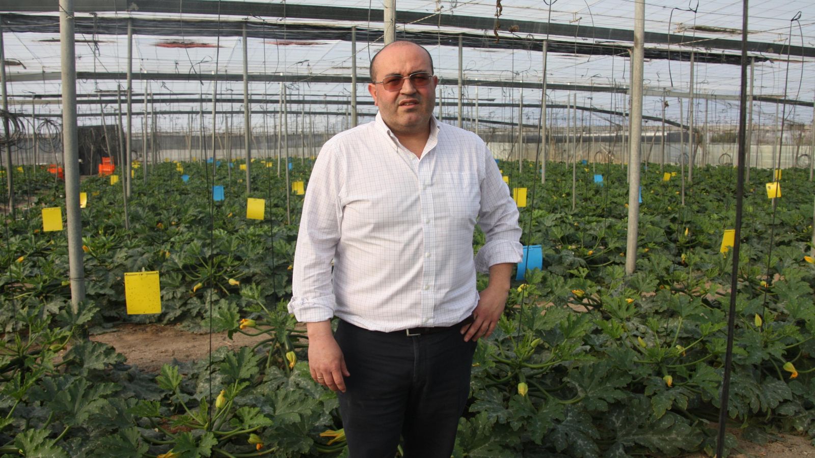 Juan José Bonilla, en el invernadero de su familia.