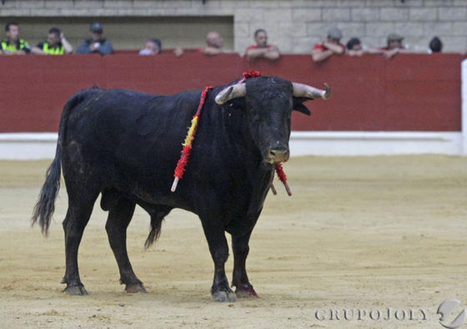 La Montera acoge a Galván, Escarcena y Vega en una tarde inolvidable.

Foto: Erasmo Fenoy
